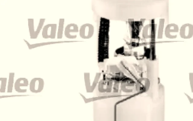 Valeo YAKIT POMPA MODULU EVASION 806