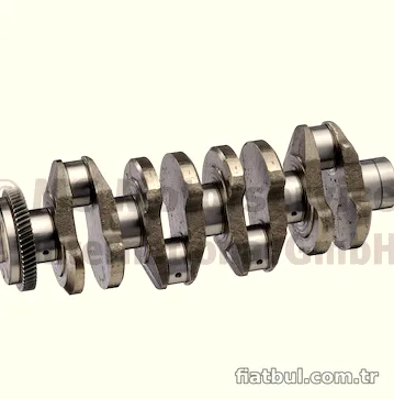 BF 20050365102 Krank
