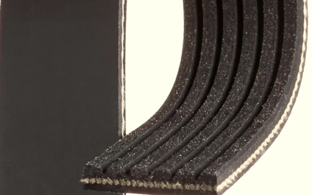 GATES 6PK1583 V Kayışı