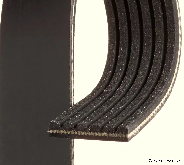 GATES 6PK1583 V Kayışı - GATES - 6PK1583