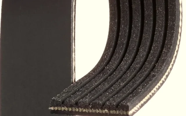 GATES 6PK1590 V Kayışı