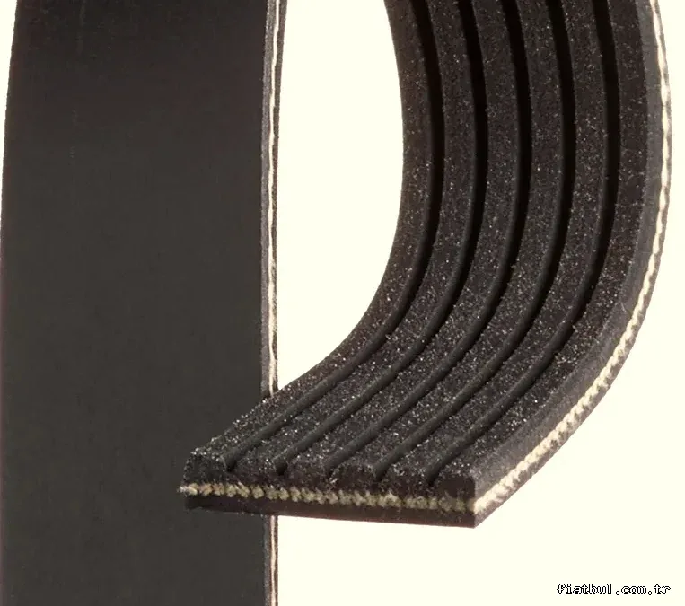GATES 6PK1590 V Kayışı - GATES - 6PK1590