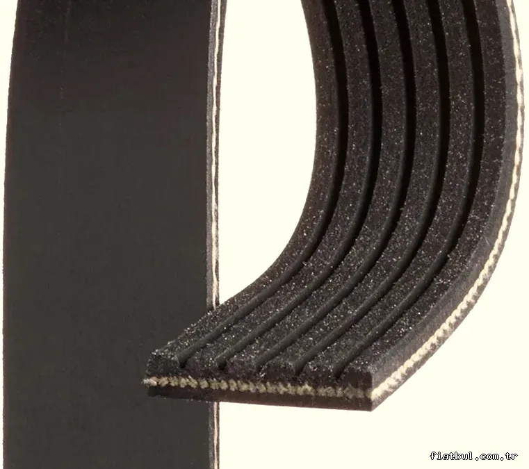 GATES 6PK923 V Kayışı - GATES - 6PK923