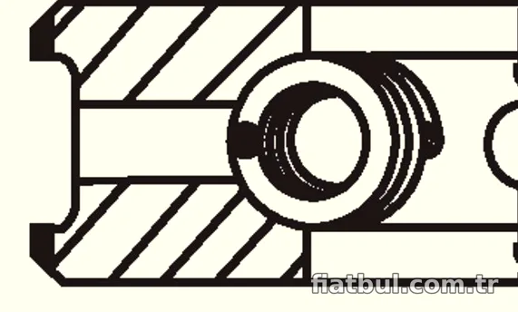 MAHLE 00981N0 Segman - MAHLE - 00981N0