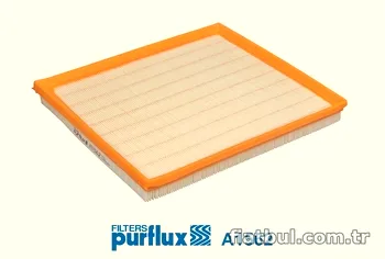 PURFLUX A1562 Hava Filtresi - PURFLUX - A1562