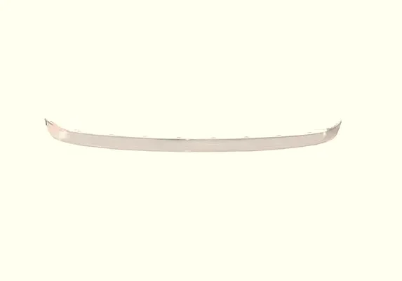 RAM Arka Tampon Kaplama BPE309568