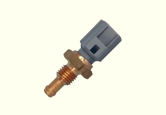 RAM Isı Müşürü 33735