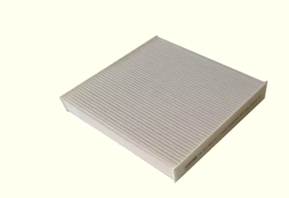 RAM Polen Filitresi EFP519619