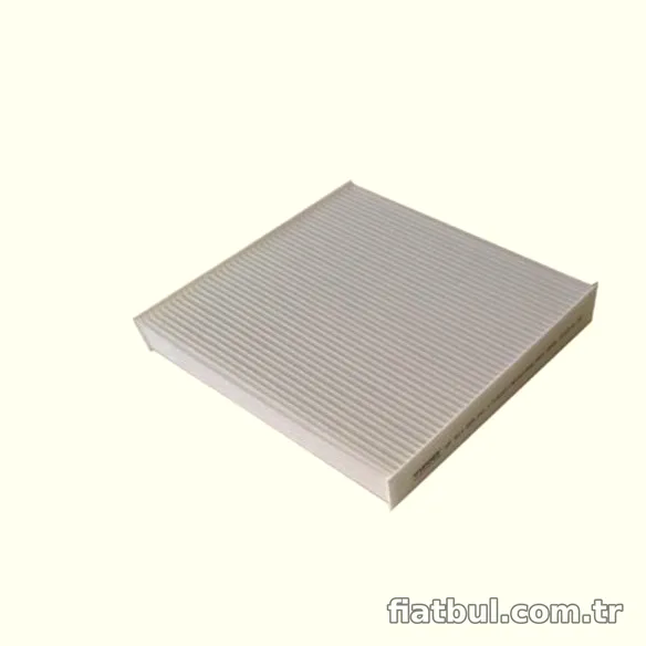 RAM Polen Filitresi EFP519619 - RAM
