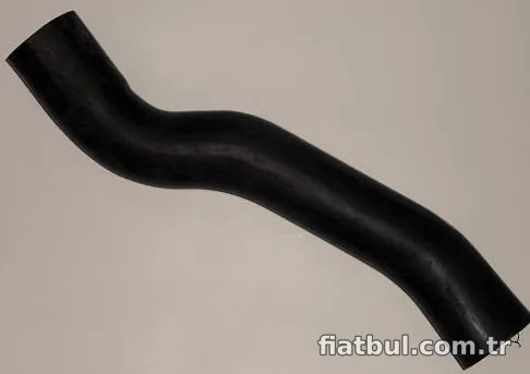 RAM Turbo Hortumu 19925