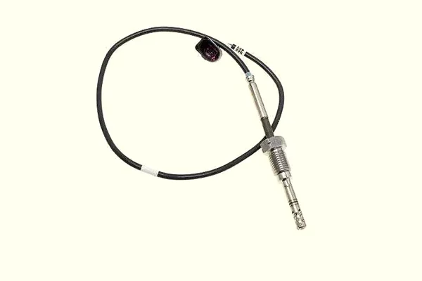 RAM Turbo Sıcaklık Sensörü / Partikül 99061808401