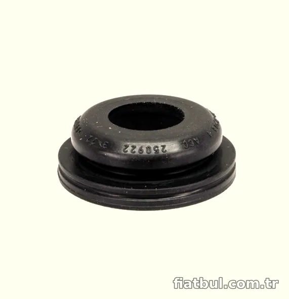 RAM Westinghouse Hortumu BRC18077 - RAM